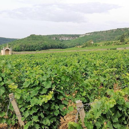 Gite Hautes Cotes De Nuits Curtil-Vergy Ngoại thất bức ảnh
