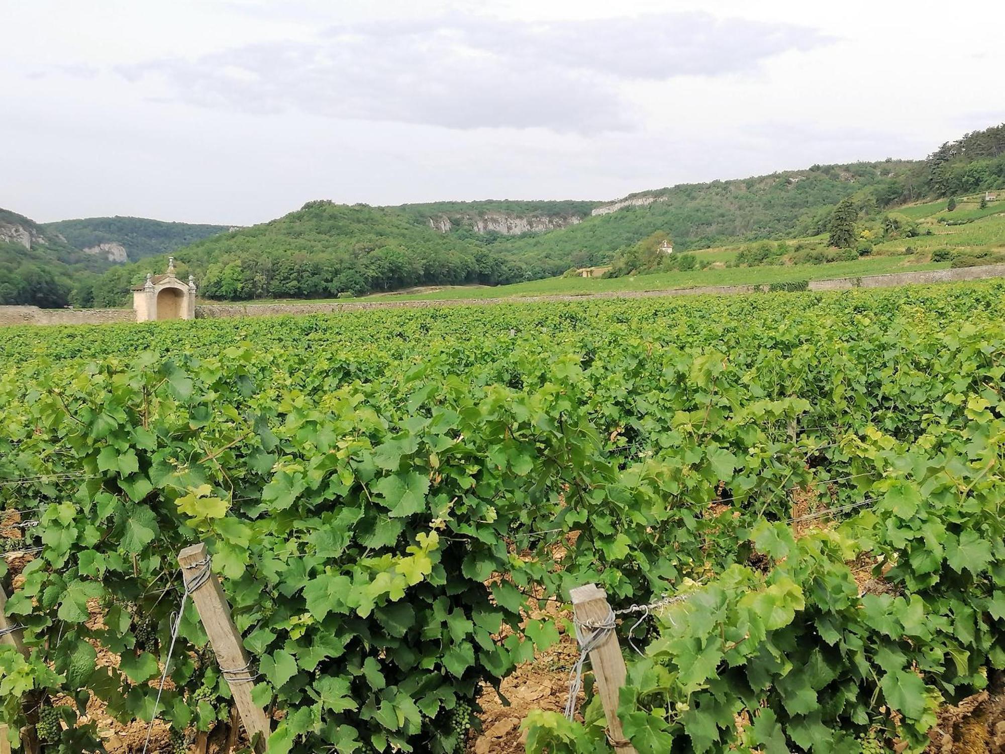Gite Hautes Cotes De Nuits Curtil-Vergy Ngoại thất bức ảnh